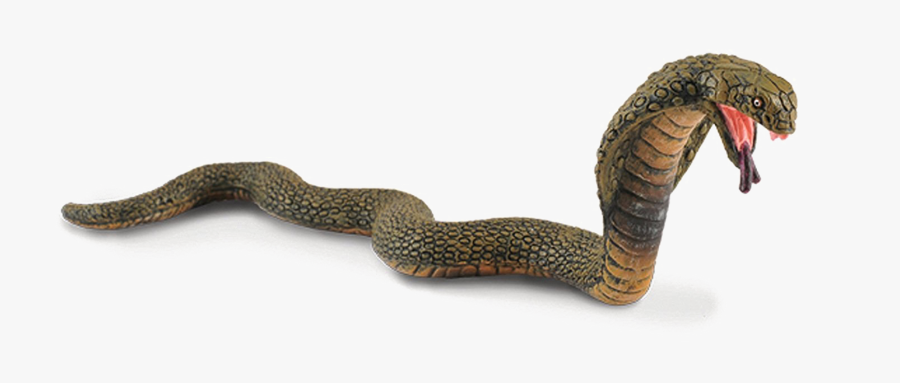 King Cobra Png Image - King Cobra Collecta, Transparent Clipart