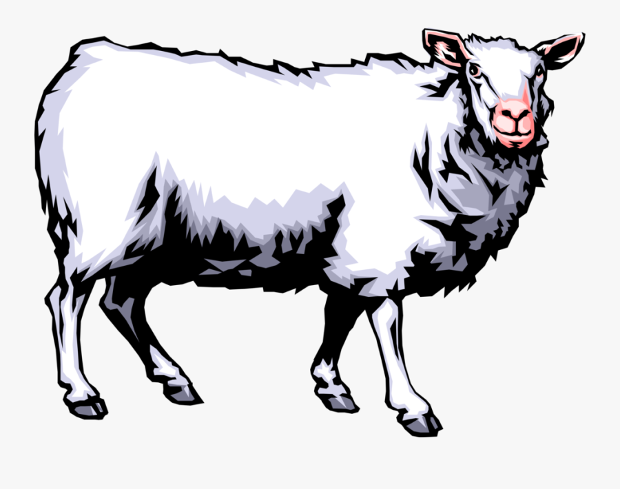 Vector Illustration Of Farm Agriculture Livestock Woolly - Owl Fox Donkey Sheep, Transparent Clipart