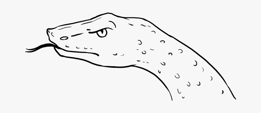 Snake Head Easy Drawing, Transparent Clipart