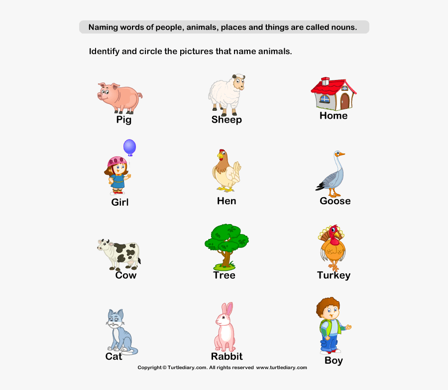 grade-1-naming-words-worksheet-free-transparent-clipart-clipartkey