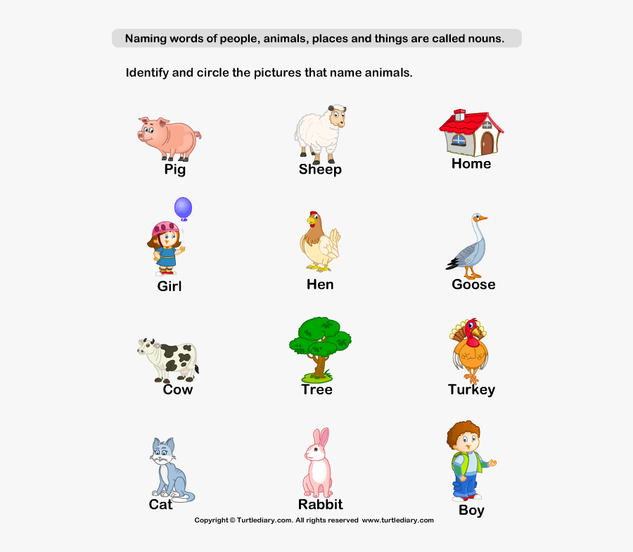 naming-words-worksheet-for-grade-1