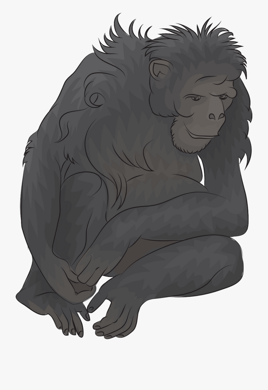 Ape, Transparent Clipart