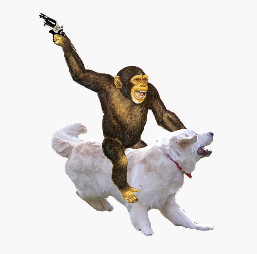 Money Riding Dog With Gun - Ape Png, Transparent Clipart