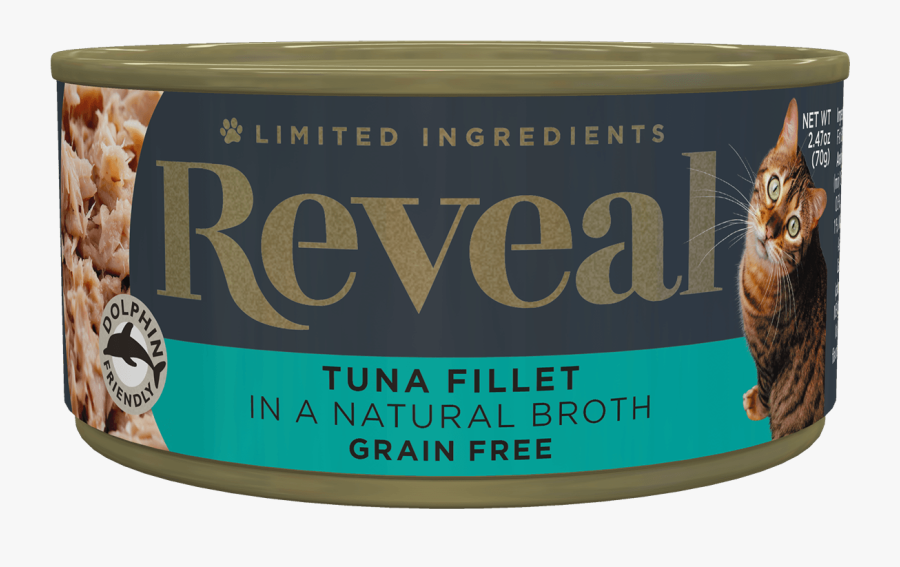 Eastern Screech Owl, Transparent Clipart