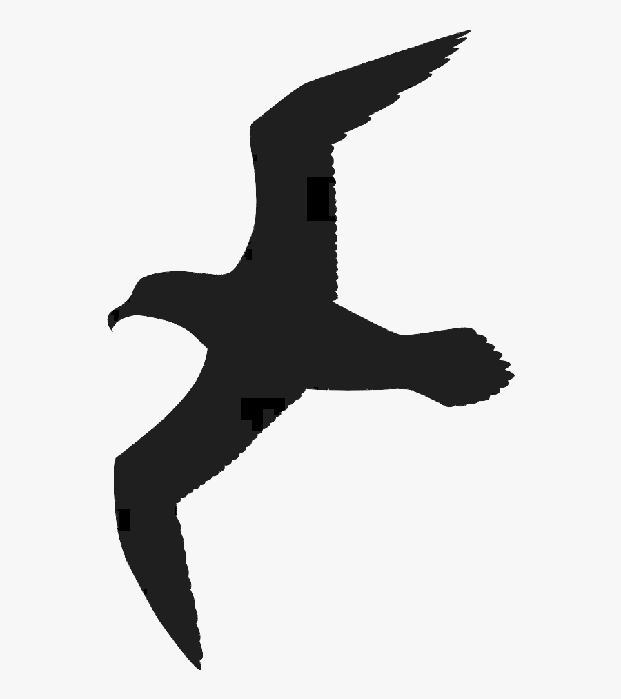 Gulls Bird Great Black-backed Gull Drawing Clip Art - Gulls, Transparent Clipart
