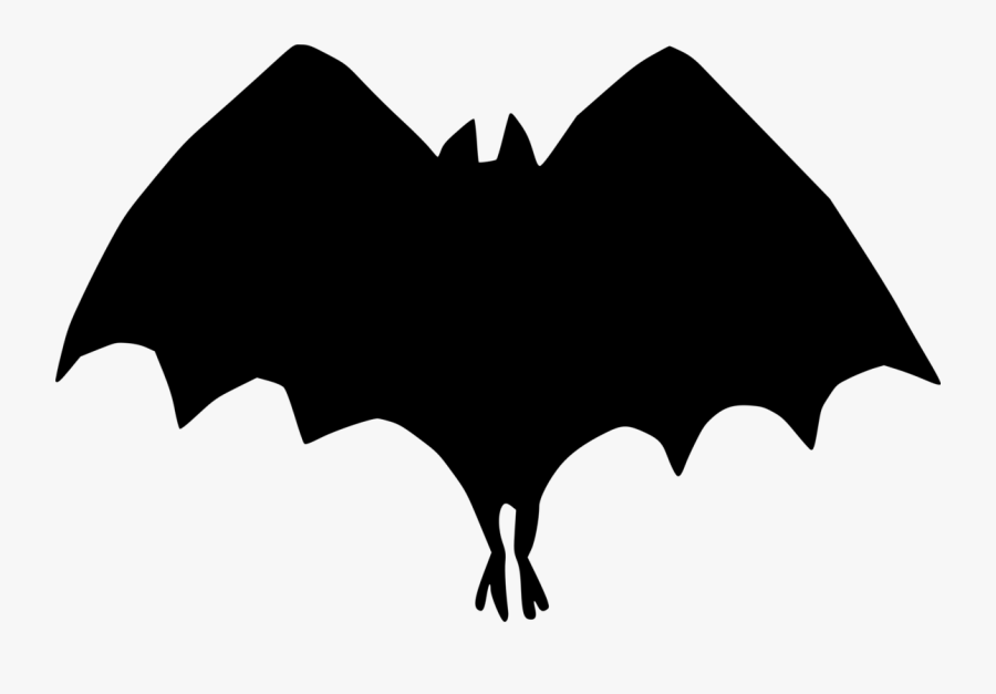 Bat,leaf,symmetry - Minnie Mouse, Transparent Clipart