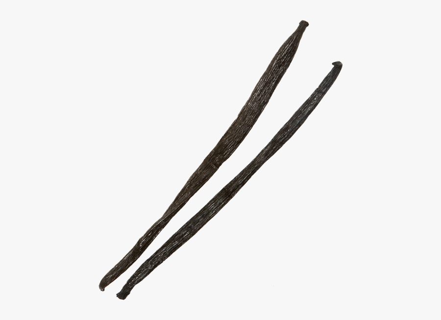 Download Vanilla Bean Png Transparent Image For Designing - Vanilla Beans Png, Transparent Clipart