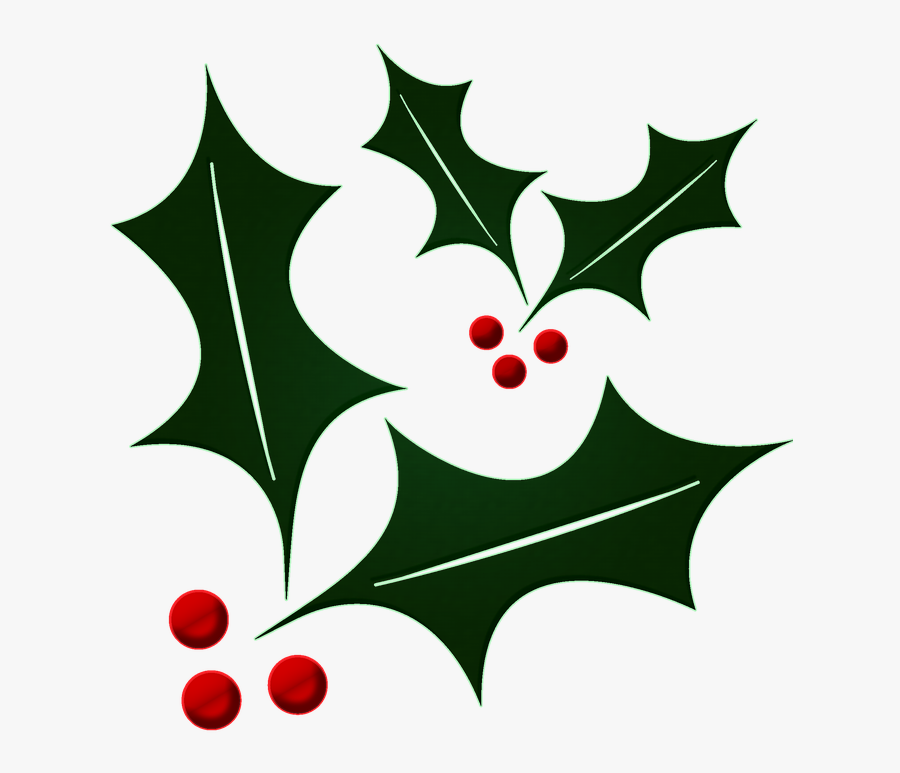 Holly, Ilex, Plant, Flower, Leaf, Isolated, Christmas - Christmas Flower Leaf, Transparent Clipart