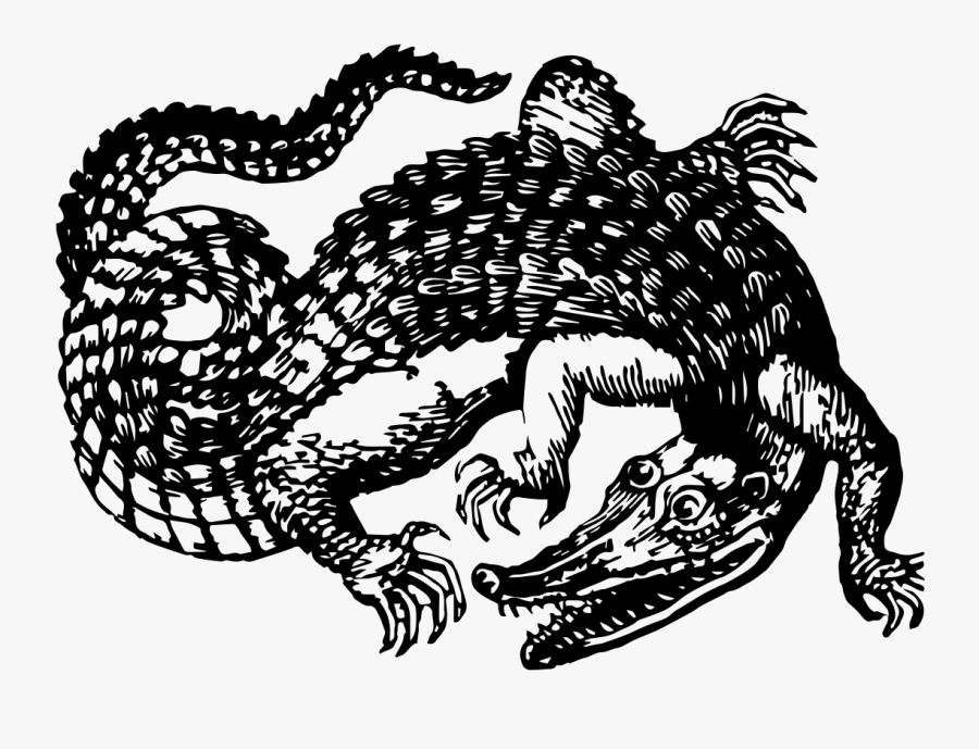 Cerrone Je Suis Music Armand Van Helden Remix, Transparent Clipart