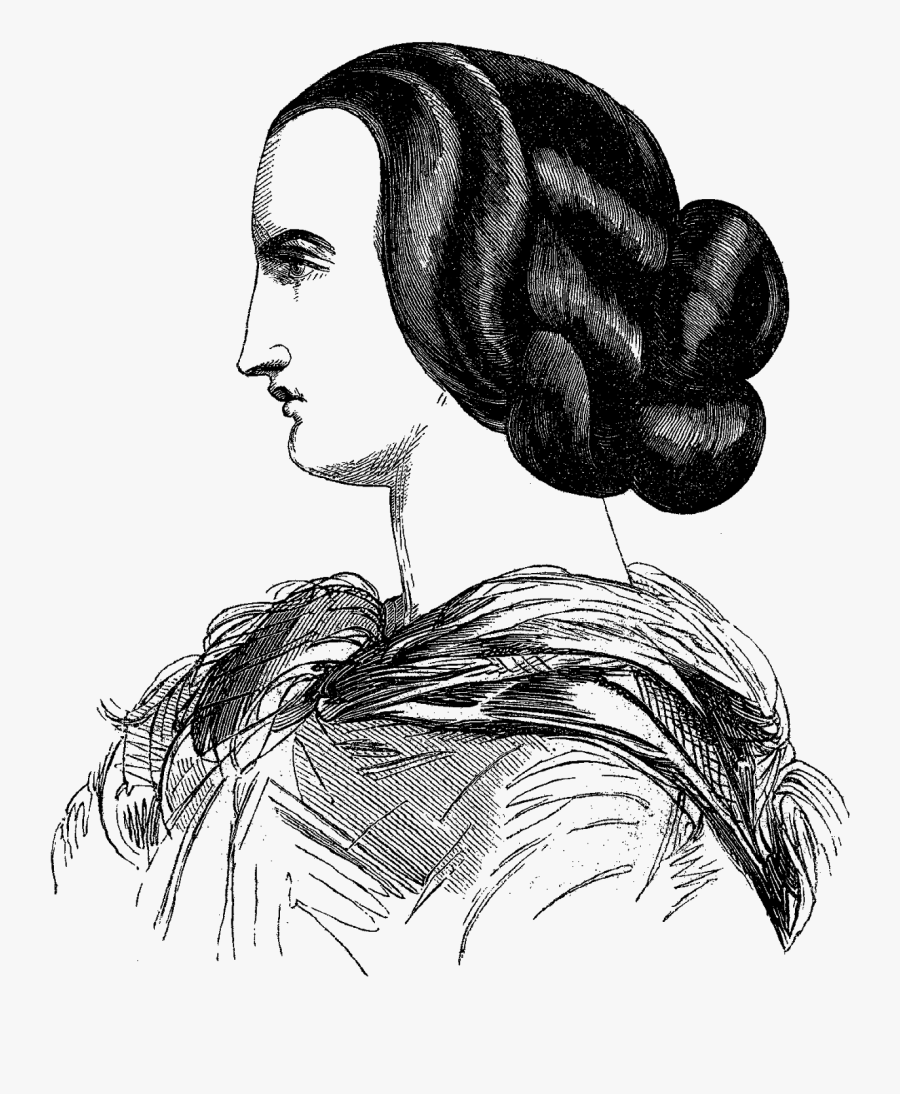 Sketch, Transparent Clipart