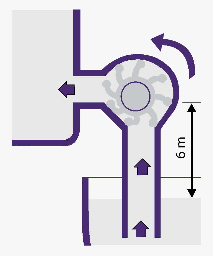 Graphic Design, Transparent Clipart