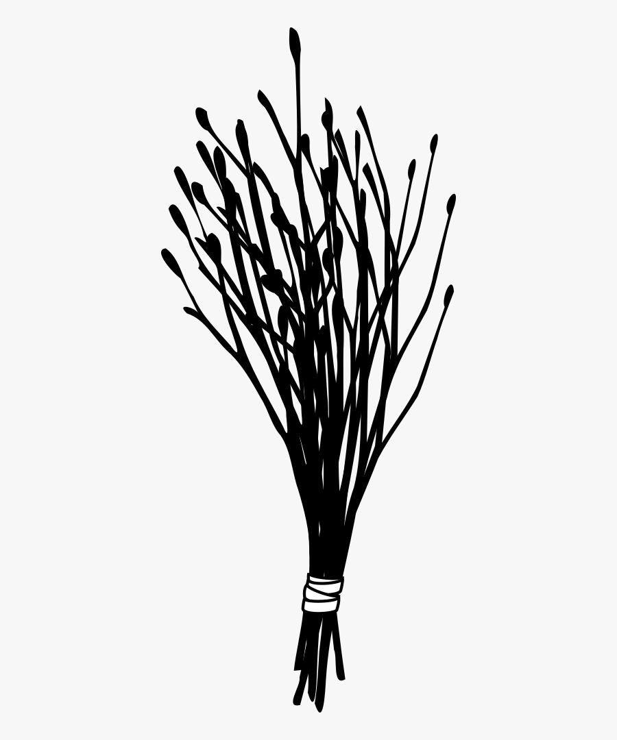 Willow Rod, Transparent Clipart