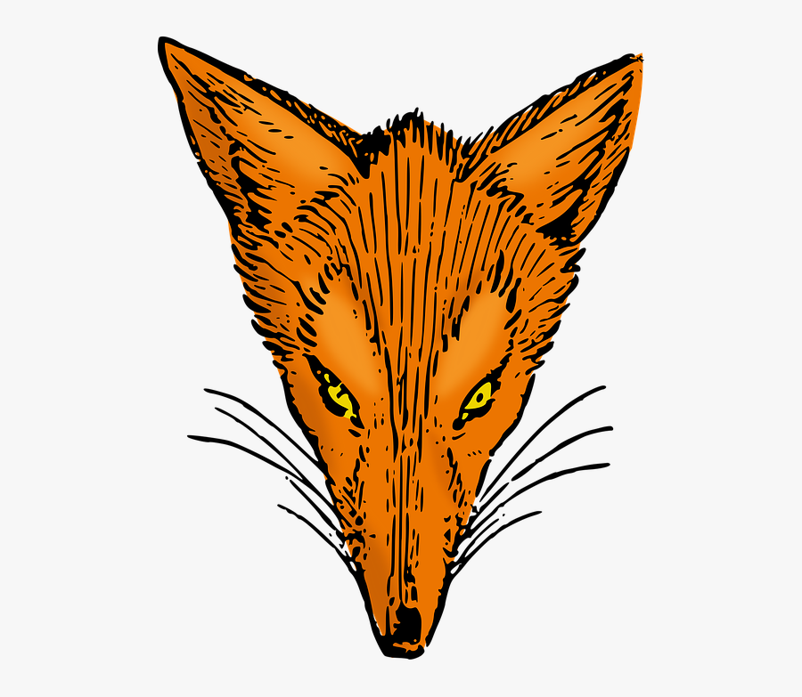 Animal, Fox, Head, Lutz, Mammal - Fox, Transparent Clipart