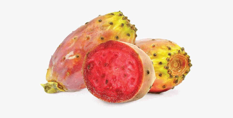 Prickly Pear Png - Hookah, Transparent Clipart