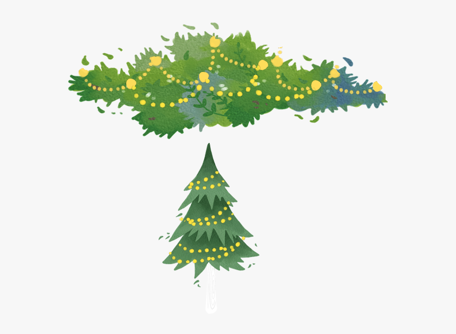 Spruce Fir Tree Christmas Pine Free Download Image - Illustration, Transparent Clipart