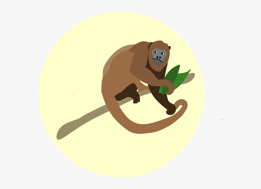 Howler Monkey, Transparent Clipart