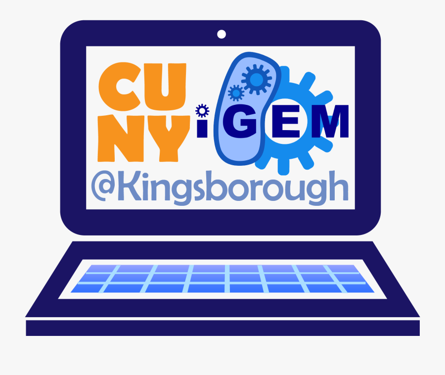 Team Cuny Kingsborough Basic - Igem 2011, Transparent Clipart