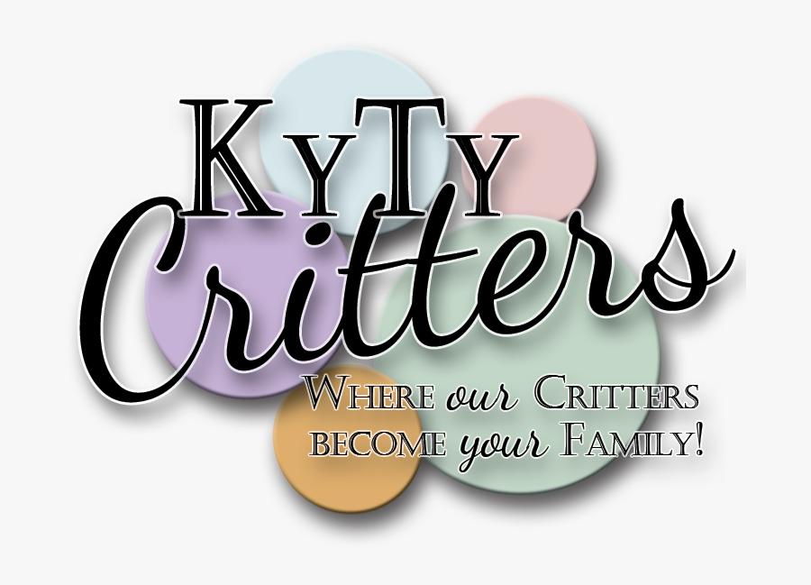 Graphic Design, Transparent Clipart