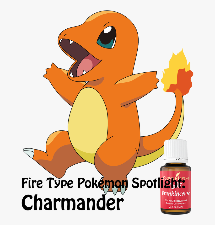 Pok Oils Gotta Try - Charmander Png, Transparent Clipart