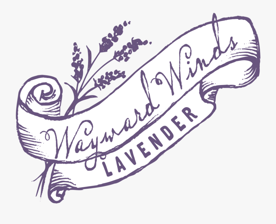 Calligraphy, Transparent Clipart