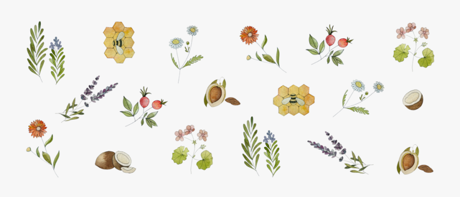 Picture Of Natural Ingredients In Miss Magoo"s, Transparent Clipart