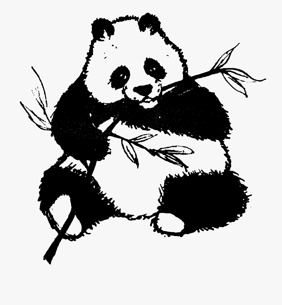 Found Panda Chewing On Leaves Clip Arts - Panda Black And White Clipart, Transparent Clipart