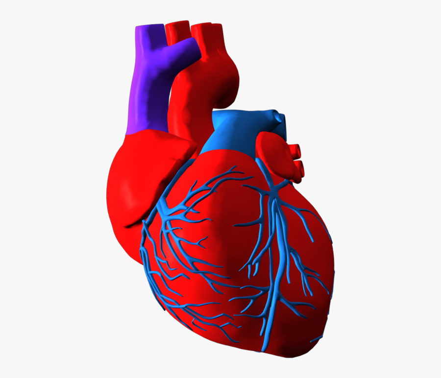 Ryu Hayabusa Png , Transparent Cartoons, Transparent Clipart