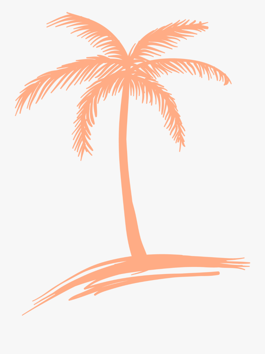 Drawing Detail Palm Tree, Transparent Clipart