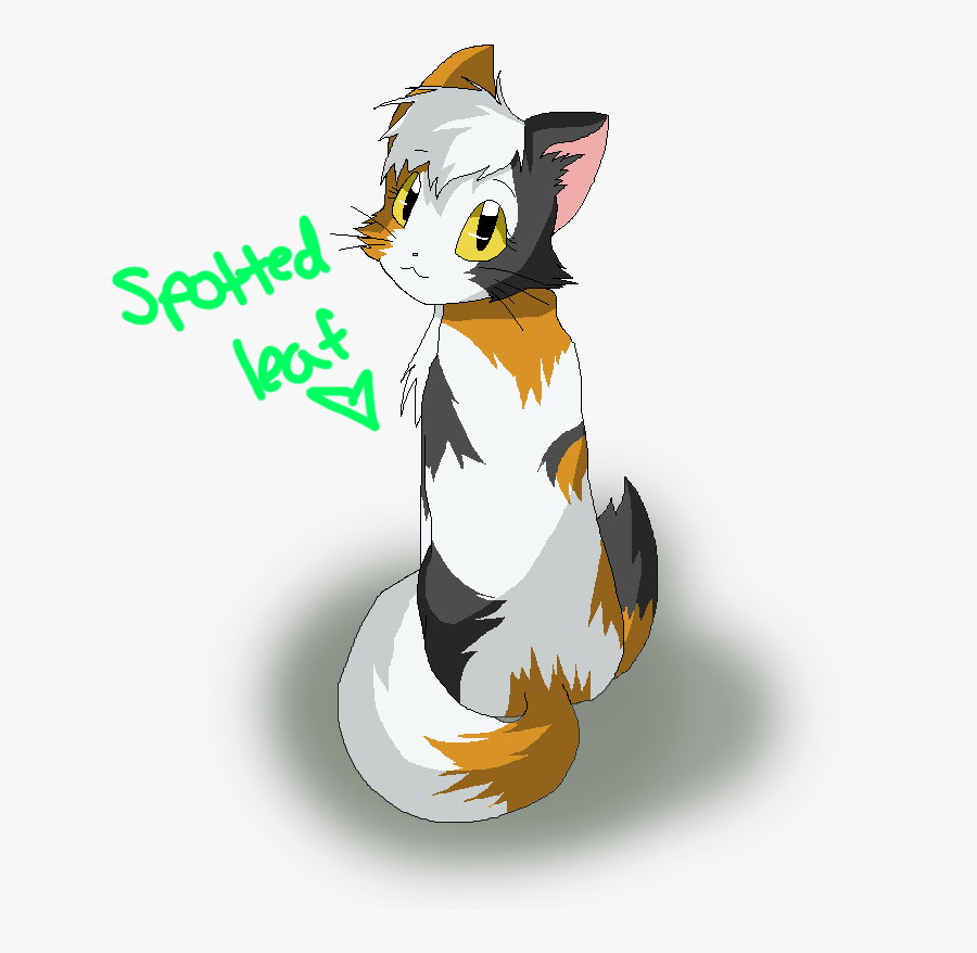 Image Warriors Spottedleaf By - Spottedleaf Warrior Cats Look, Transparent Clipart
