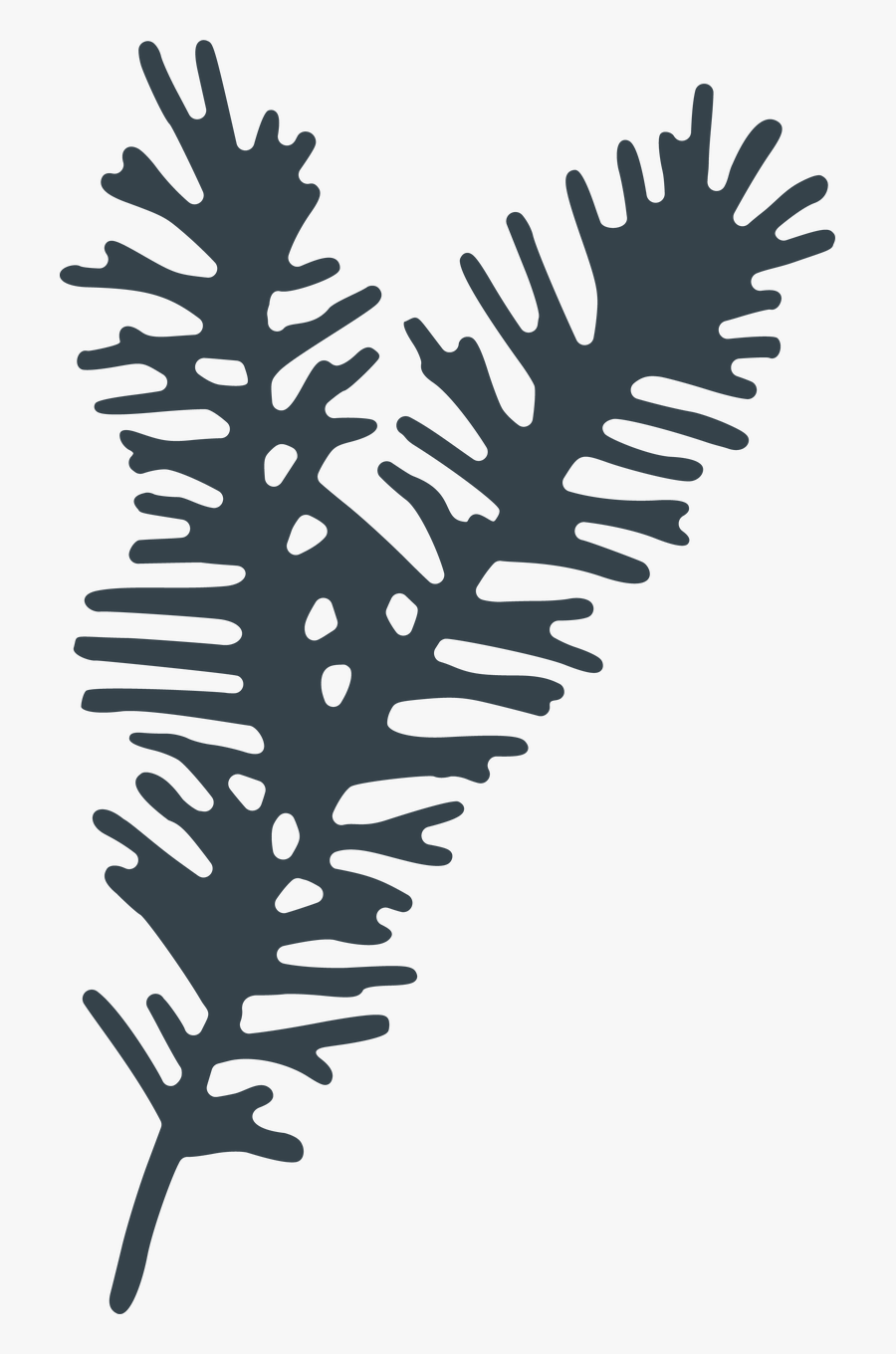Pine Branch Svg Cut File Jack Pine Free Transparent Clipart Clipartkey