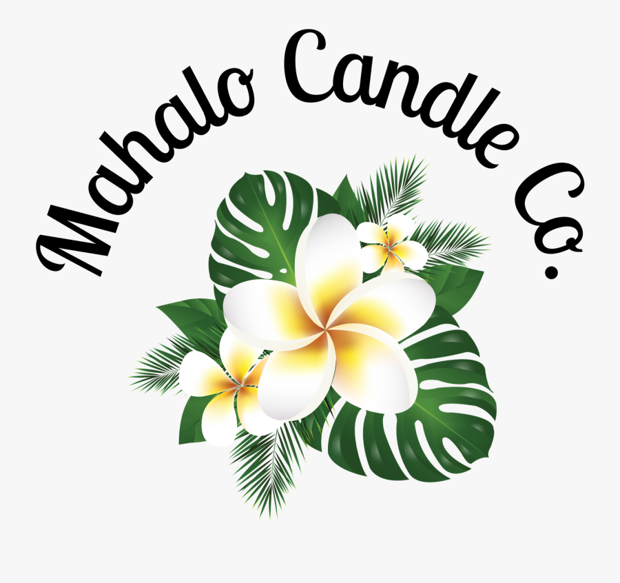 Plumeria Flower Illustrations, Transparent Clipart