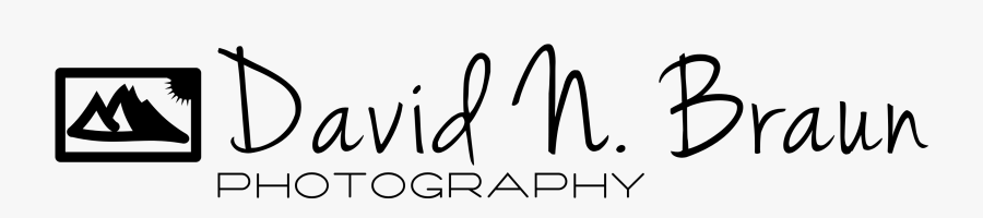 Abahapcofasoh0ggbbhb - Calligraphy, Transparent Clipart