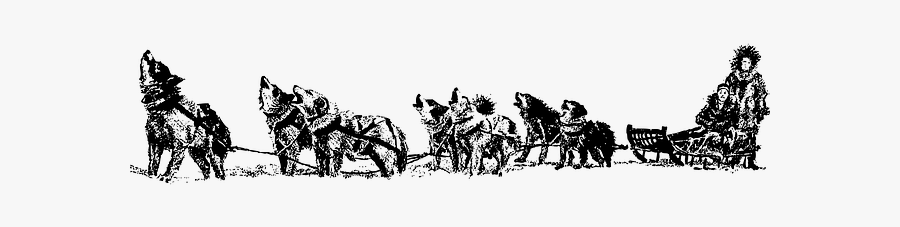 Siberian Husky Alaskan Husky Dog Sled Sled Dog Clip - Sled Dog Clip Art, Transparent Clipart