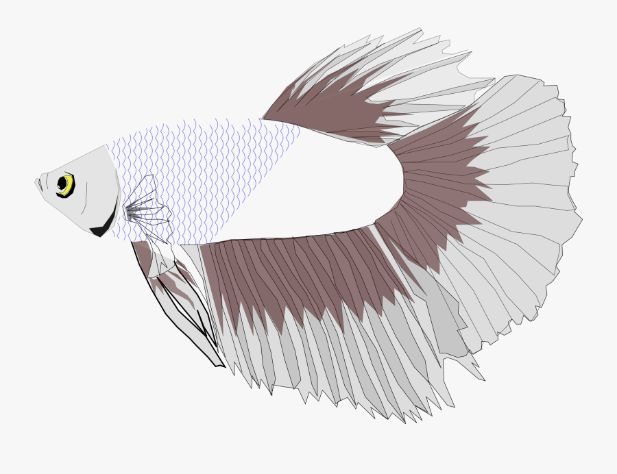 Download Betta Fish Jumping - Betta Fish Vector Svg , Free Transparent Clipart - ClipartKey