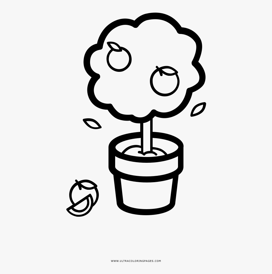Orange Tree In A Pot Coloring Page - Arbol En Maceta Para Colorear, Transparent Clipart