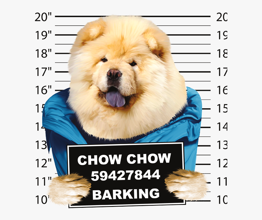 chow chow clothes