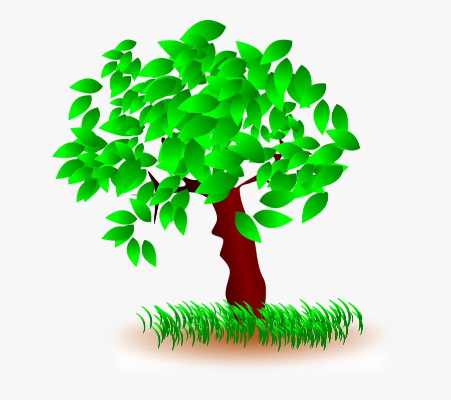 Arbol Png, Transparent Clipart