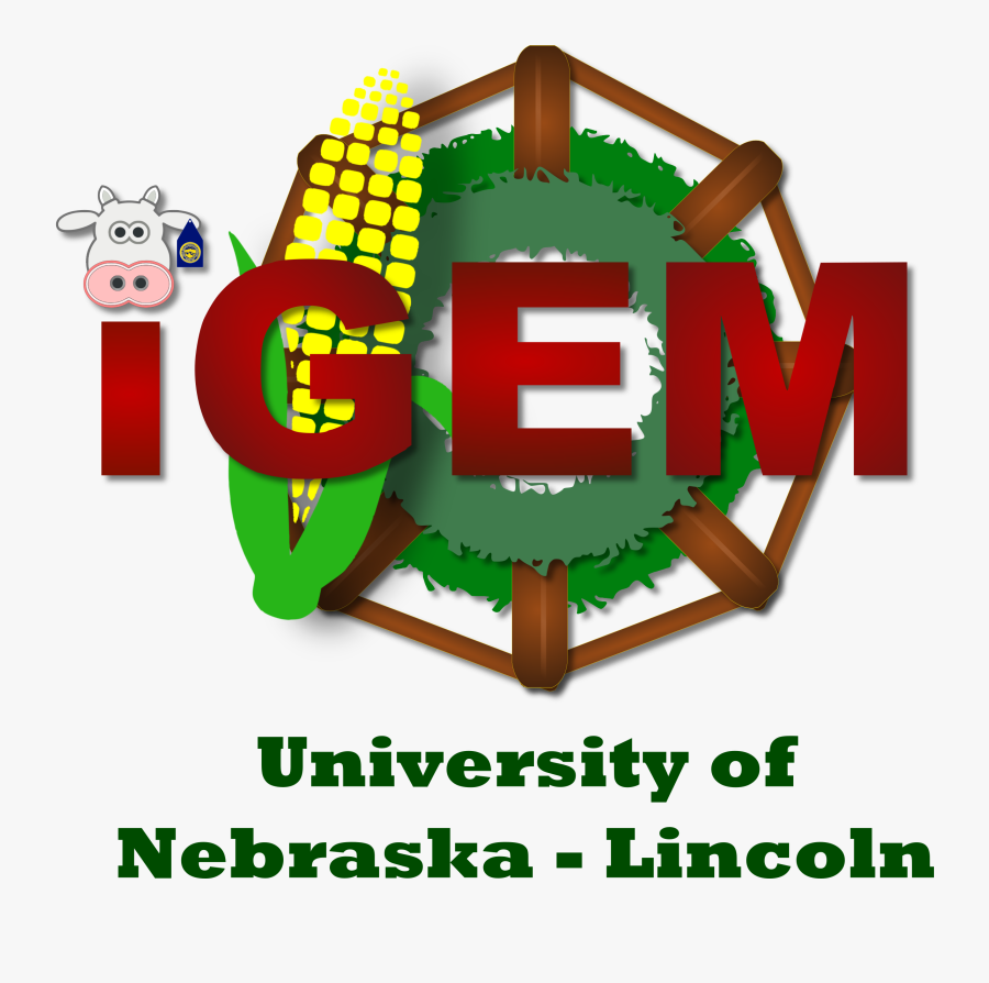 Graphic Design, Transparent Clipart