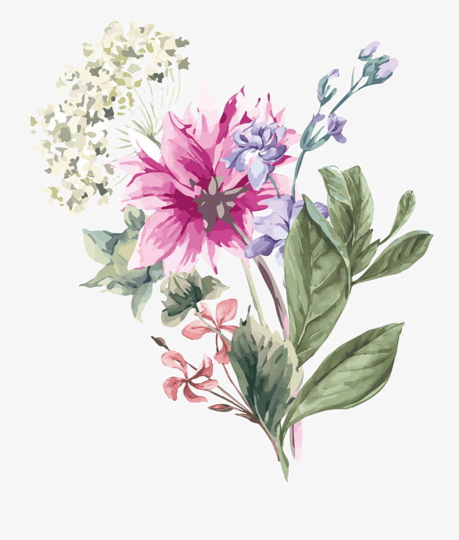 Hydrangea Flower Stock Illustration Illustration - Butterfly Flower Vector Png, Transparent Clipart