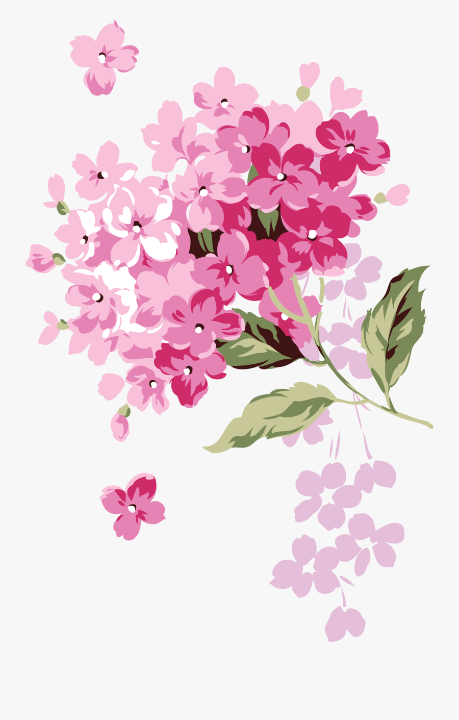 Clipart For Pink Hydrangea Transparent, Transparent Clipart