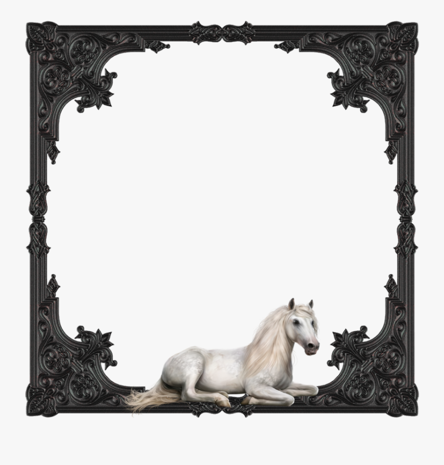 #mq #white #black #horse #frame #frames #border #borders - Contoh Invitation Card New House, Transparent Clipart