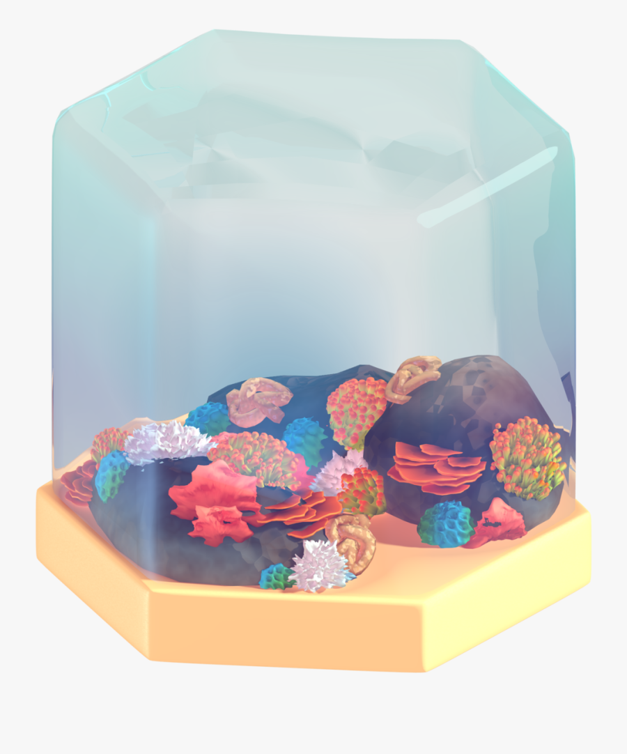 A Cozy Coral Reef For Day - Box, Transparent Clipart