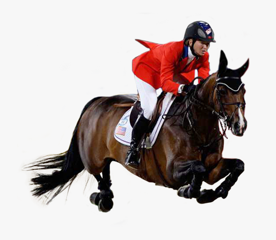 Equestrian - Horse Riding Png Images Hd, Transparent Clipart