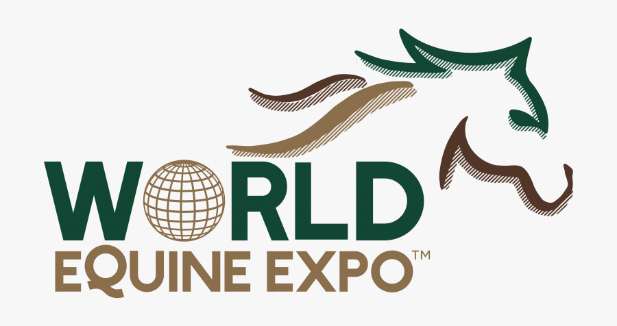 Carrollwood Day School, Transparent Clipart