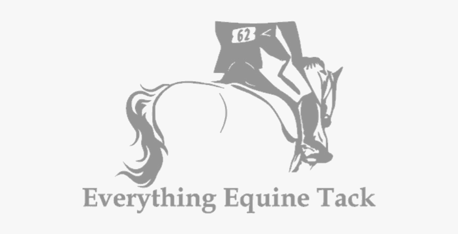 Stallion, Transparent Clipart