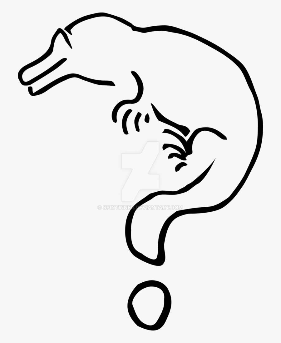 Collection Of Free Platypus Drawing Logo Download On, Transparent Clipart