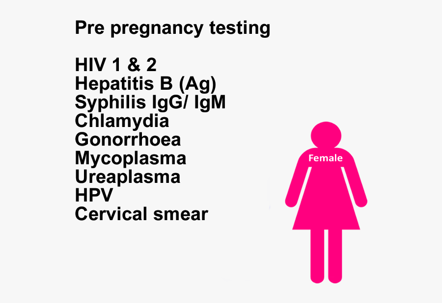 Lomack Sexual Health - Ajuntament De La Senia, Transparent Clipart