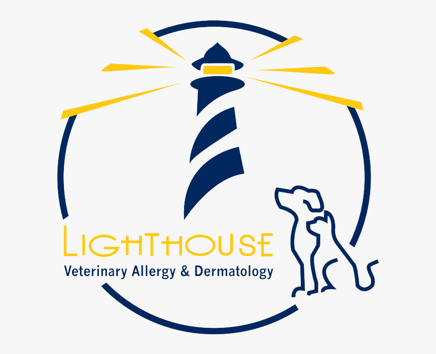 Graphic Design, Transparent Clipart