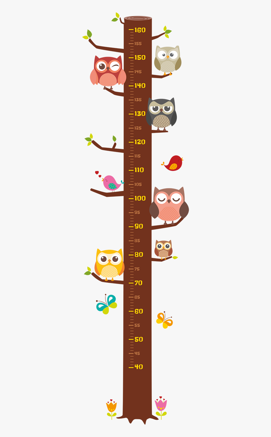 Height Chart Owl, Transparent Clipart