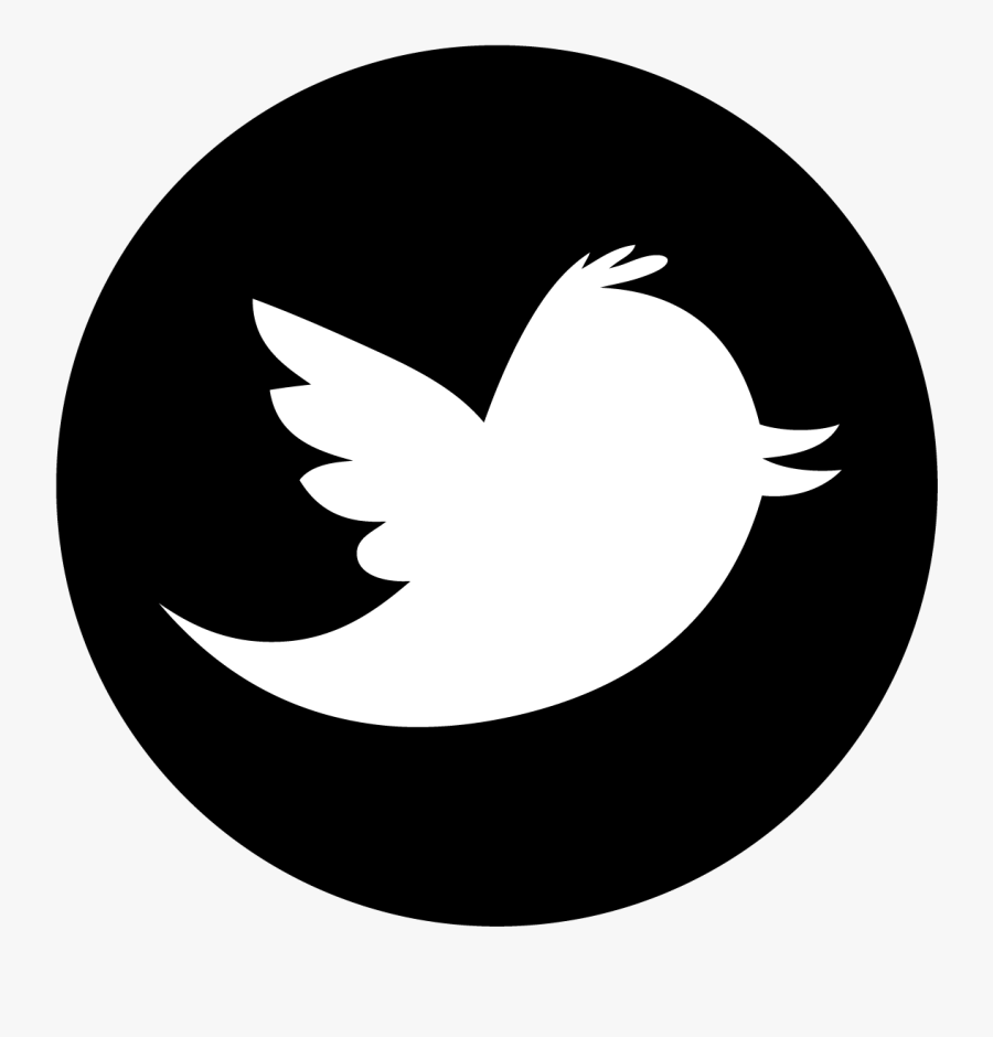 Home / Skiing / Snowboarding / Tubing / Kids / Race - Twitter Logo Vector Circle, Transparent Clipart